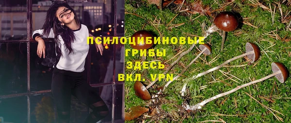 дурь Армянск